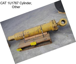 CAT 1U1767 Cylinder, Other