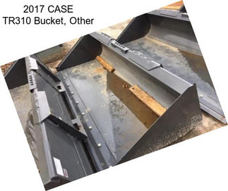 2017 CASE TR310 Bucket, Other