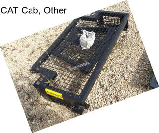 CAT Cab, Other