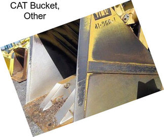 CAT Bucket, Other