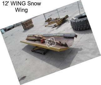 12\' WING Snow Wing