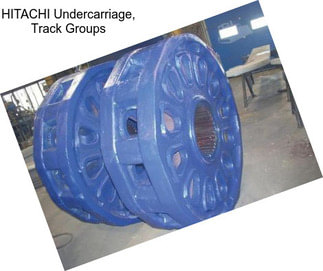 HITACHI Undercarriage, Track Groups