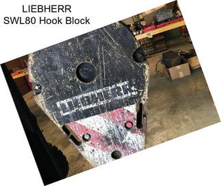 LIEBHERR SWL80 Hook Block