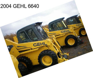 2004 GEHL 6640