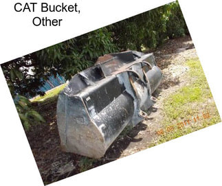 CAT Bucket, Other