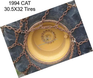 1994 CAT 30.5X32 Tires