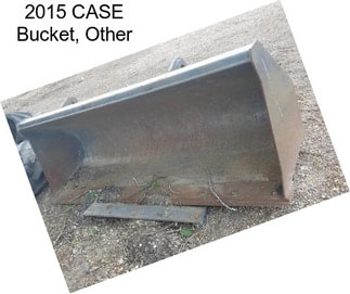 2015 CASE Bucket, Other