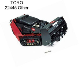 TORO 22445 Other