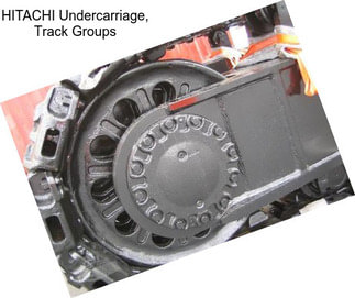 HITACHI Undercarriage, Track Groups