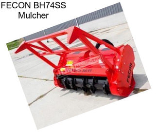 FECON BH74SS Mulcher