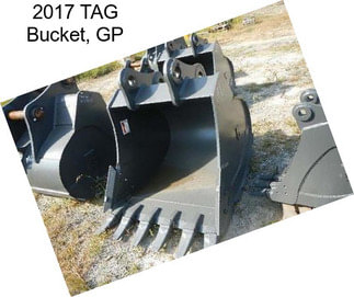 2017 TAG Bucket, GP