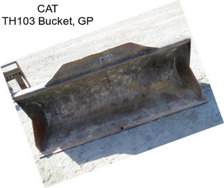 CAT TH103 Bucket, GP