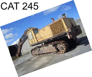 CAT 245