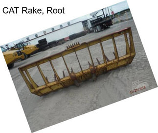 CAT Rake, Root