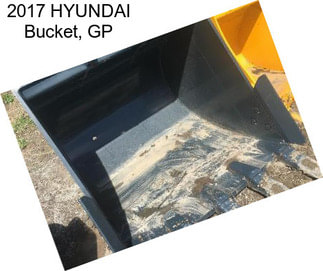 2017 HYUNDAI Bucket, GP