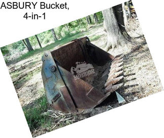 ASBURY Bucket, 4-in-1