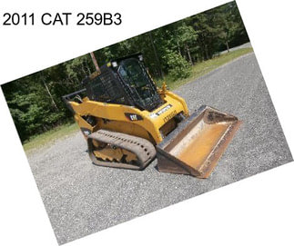 2011 CAT 259B3