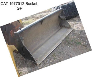 CAT 1977012 Bucket, GP