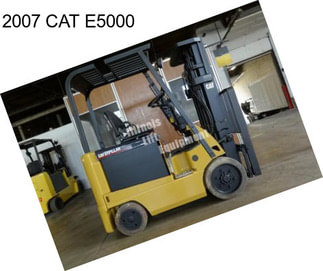 2007 CAT E5000