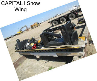 CAPITAL I Snow Wing