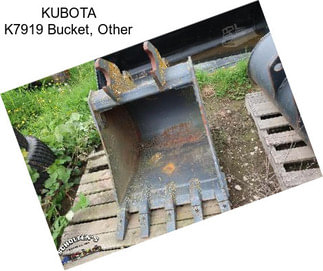 KUBOTA K7919 Bucket, Other