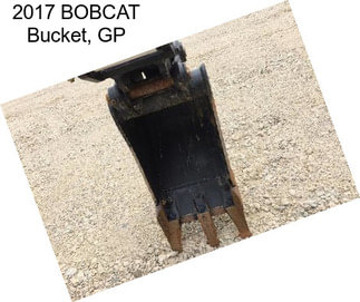 2017 BOBCAT Bucket, GP