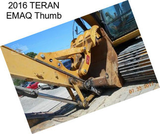 2016 TERAN EMAQ Thumb