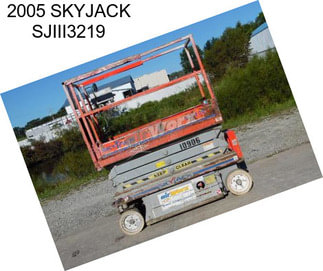 2005 SKYJACK SJIII3219