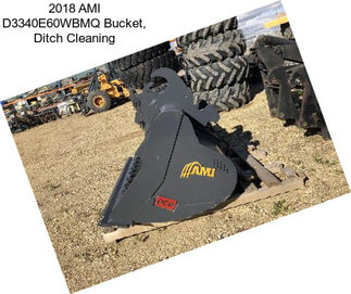 2018 AMI D3340E60WBMQ Bucket, Ditch Cleaning