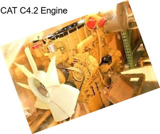 CAT C4.2 Engine