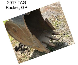 2017 TAG Bucket, GP