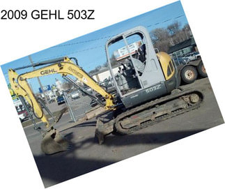 2009 GEHL 503Z