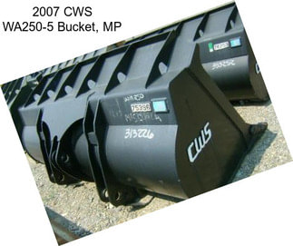 2007 CWS WA250-5 Bucket, MP