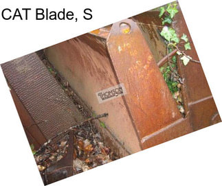 CAT Blade, S