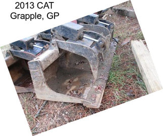2013 CAT Grapple, GP