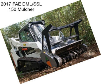 2017 FAE DML/SSL 150 Mulcher