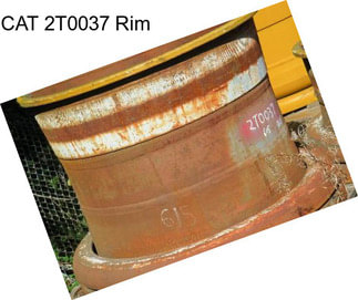 CAT 2T0037 Rim