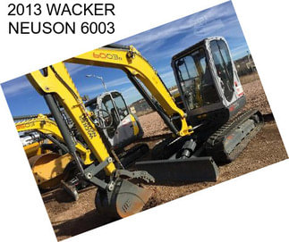 2013 WACKER NEUSON 6003