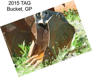 2015 TAG Bucket, GP