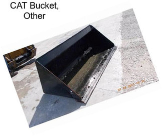 CAT Bucket, Other