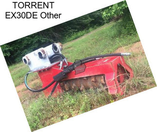 TORRENT EX30DE Other