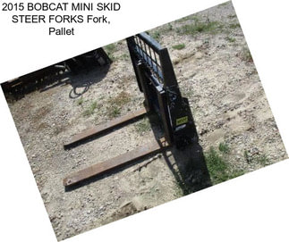 2015 BOBCAT MINI SKID STEER FORKS Fork, Pallet