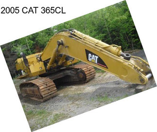 2005 CAT 365CL