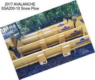 2017 AVALANCHE SSA200-10 Snow Plow