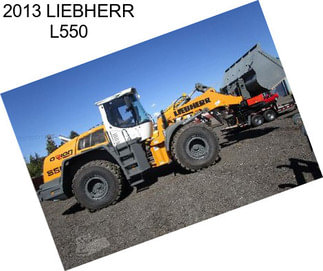 2013 LIEBHERR L550