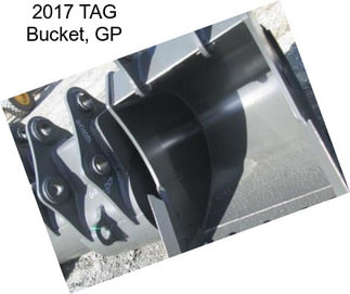 2017 TAG Bucket, GP