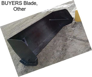 BUYERS Blade, Other