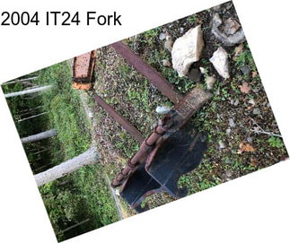 2004 IT24 Fork