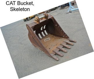 CAT Bucket, Skeleton