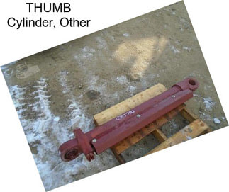 THUMB Cylinder, Other